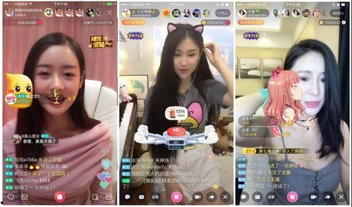 娱乐主播吃瓜内容介绍怎么写,揭秘娱乐圈幕后故事  第3张