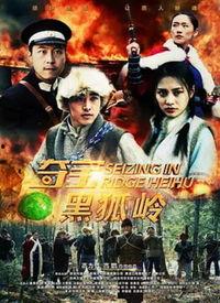 在线观看黑狐,暗影特工的隐秘使命  第2张